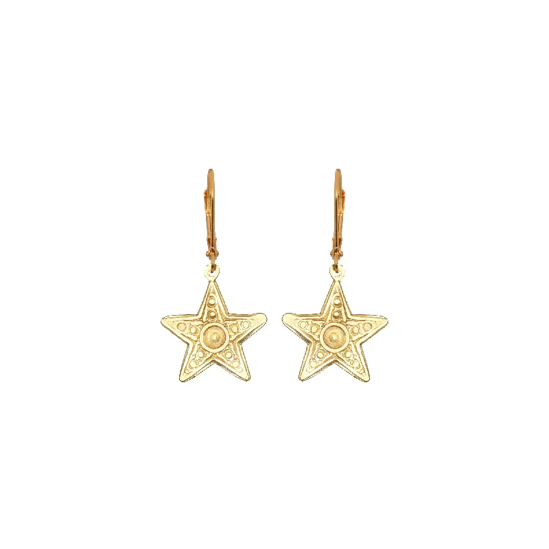 Ladies sapphire earrings-Small Star Earrings