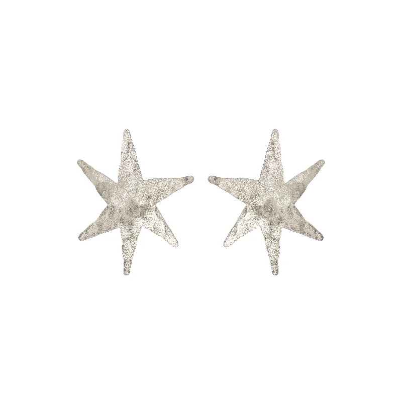 Ladies silver earrings-Chrome Starlet Studs